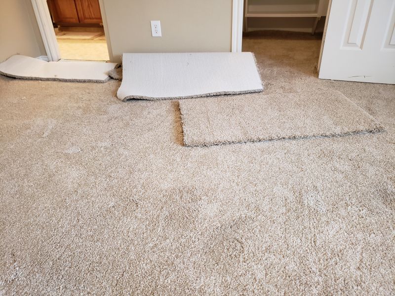 Carpet Cushion Replacement in Olathe, KS