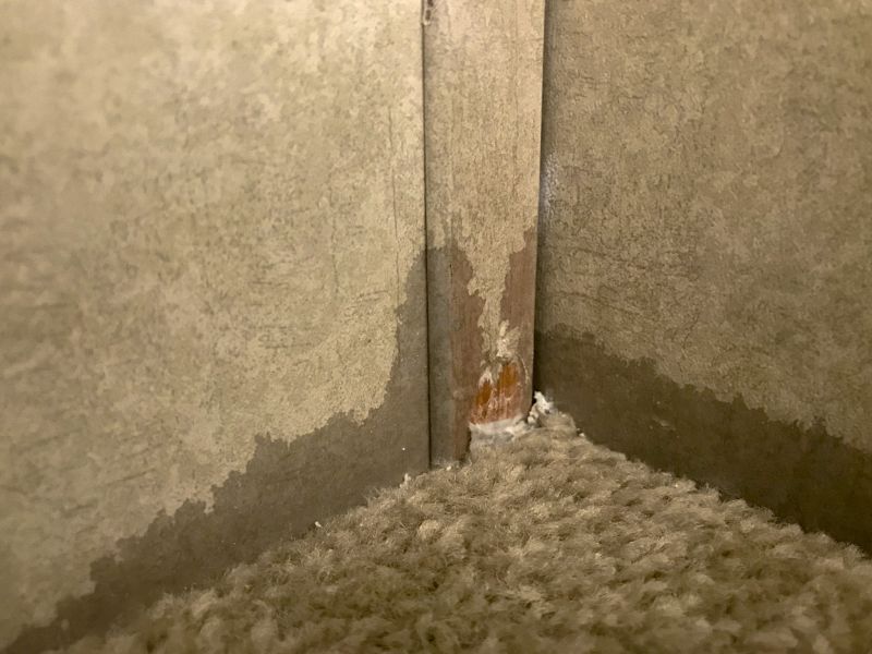 Carpet Hole Repair in Littleton, CO