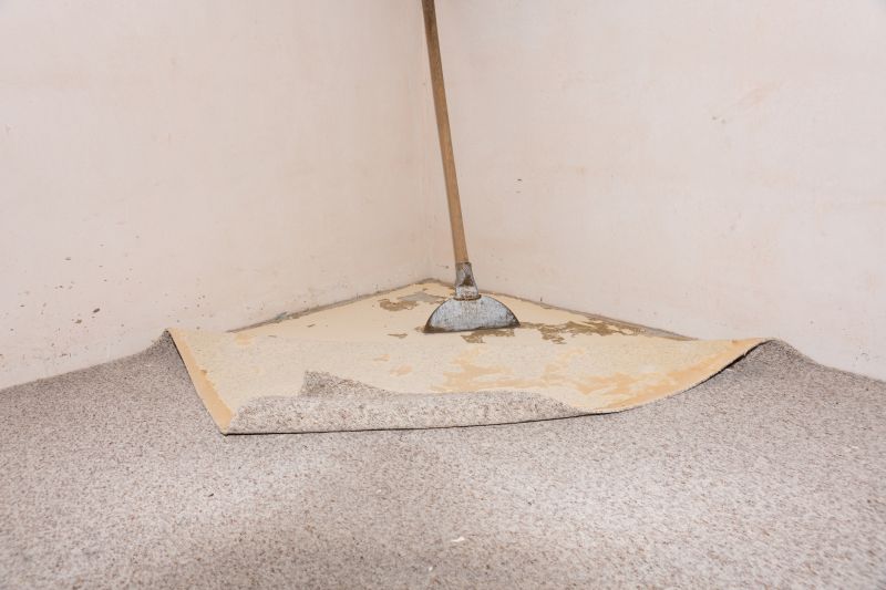 Commercial Carpet Repair in Littleton, CO
